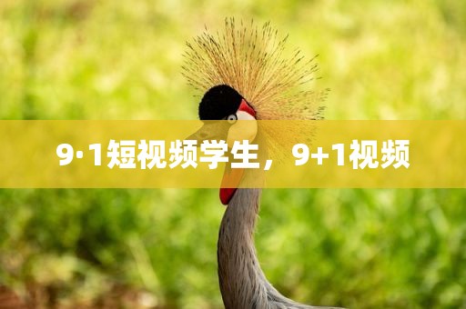 9·1短视频学生，9+1视频