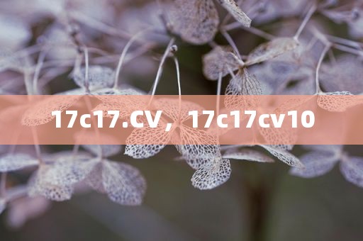 17c17.CV，17c17cv10