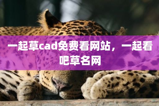 一起草cad免费看网站，一起看吧草名网