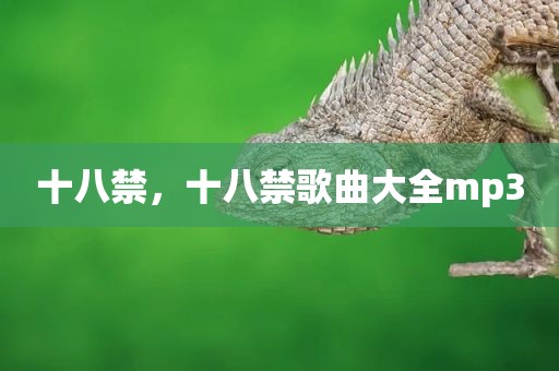 十八禁，十八禁歌曲大全mp3