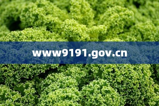 www9191.gov.cn