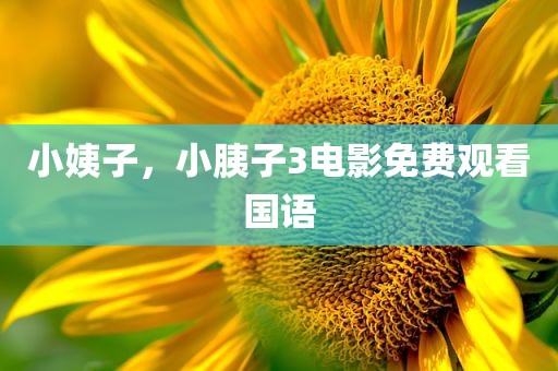 小姨子，小胰子3电影免费观看国语