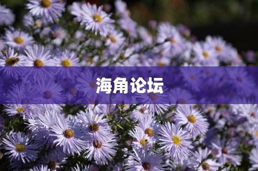 海角论坛