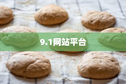 9.1网站平台