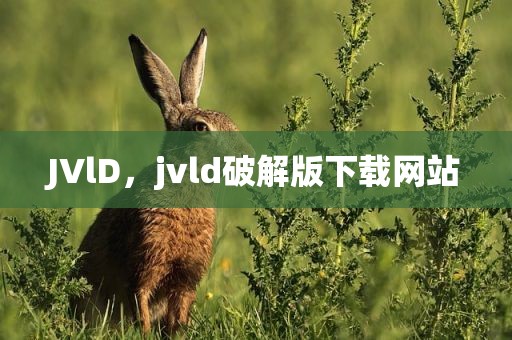 JVlD，jvld破解版下载网站