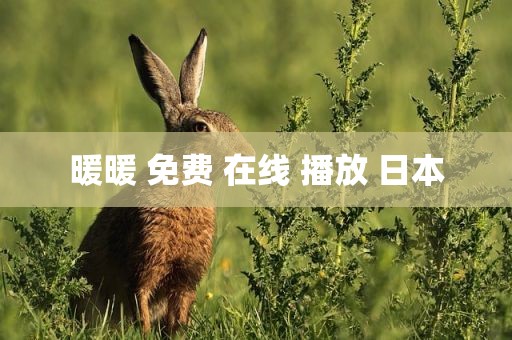 暖暖 免费 在线 播放 日本