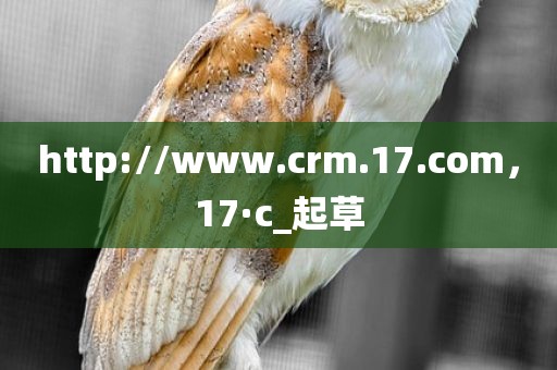 http://www.crm.17.com，17·c_起草