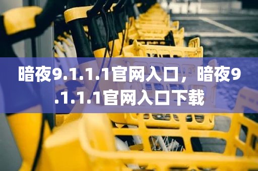暗夜9.1.1.1官网入口，暗夜9.1.1.1官网入口下载