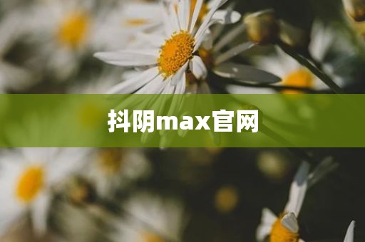 抖阴max官网