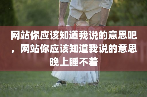 网站你应该知道我说的意思吧，网站你应该知道我说的意思晚上睡不着