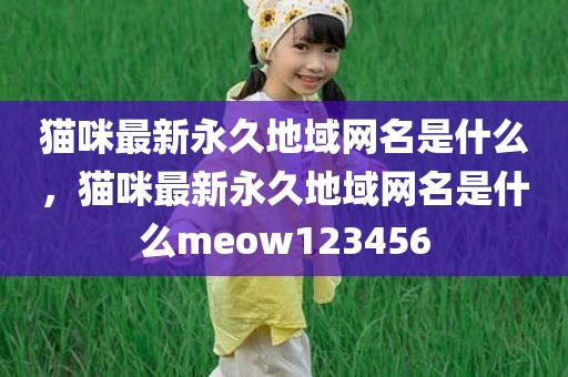 猫咪最新永久地域网名是什么，猫咪最新永久地域网名是什么meow123456