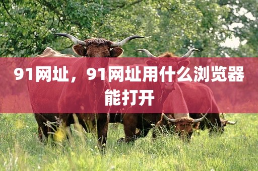 91网址，91网址用什么浏览器能打开