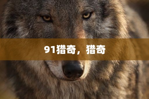 91猎奇，猎奇