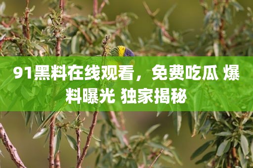 91黑料在线观看，免费吃瓜 爆料曝光 独家揭秘