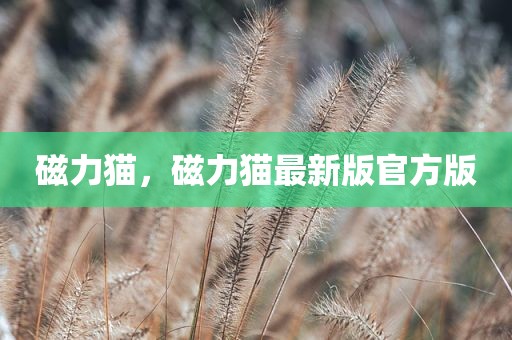 磁力猫，磁力猫最新版官方版