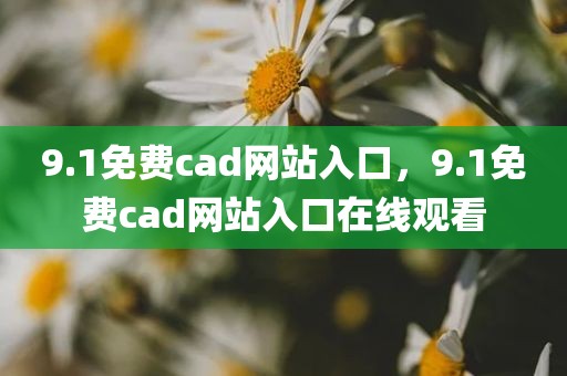 9.1免费cad网站入口，9.1免费cad网站入口在线观看