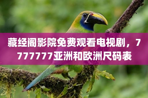 藏经阁影院免费观看电视剧，7777777亚洲和欧洲尺码表