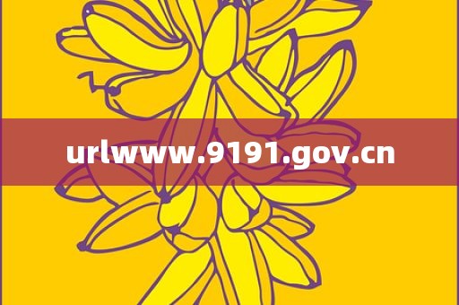 urlwww.9191.gov.cn