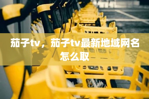 茄子tv，茄子tv最新地域网名怎么取