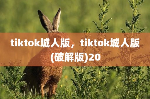 tiktok城人版，tiktok城人版(破解版)20