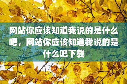 网站你应该知道我说的是什么吧，网站你应该知道我说的是什么吧下载