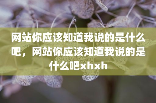 网站你应该知道我说的是什么吧，网站你应该知道我说的是什么吧xhxh