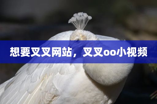 想要叉叉网站，叉叉oo小视频