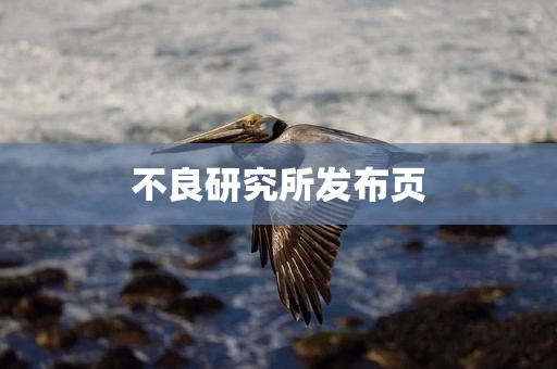 不良研究所发布页