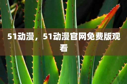 51动漫，51动漫官网免费版观看