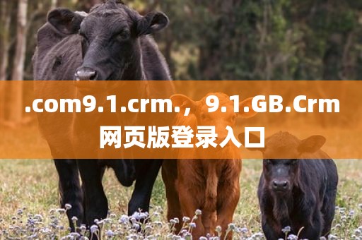 .com9.1.crm.，9.1.GB.Crm网页版登录入口