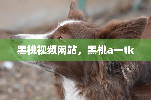 黑桃视频网站，黑桃a一tk