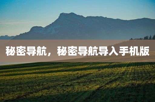 秘密导航，秘密导航导入手机版