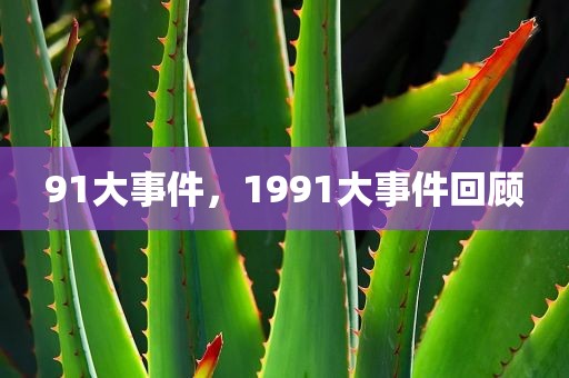 91大事件，1991大事件回顾
