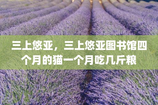三上悠亚，三上悠亚图书馆四个月的猫一个月吃几斤粮