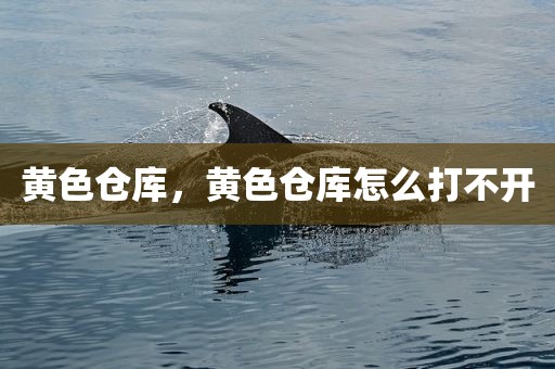 黄色仓库，黄色仓库怎么打不开