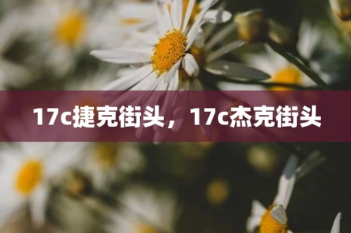 17c捷克街头，17c杰克街头