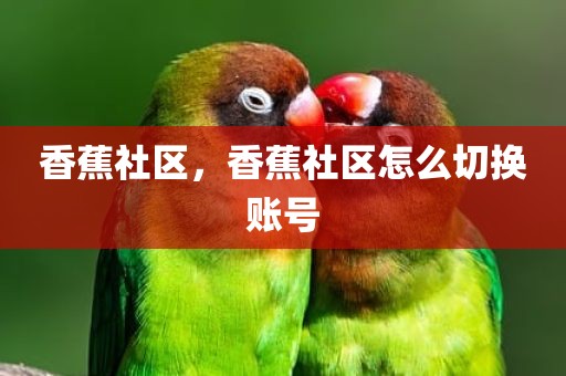 香蕉社区，香蕉社区怎么切换账号