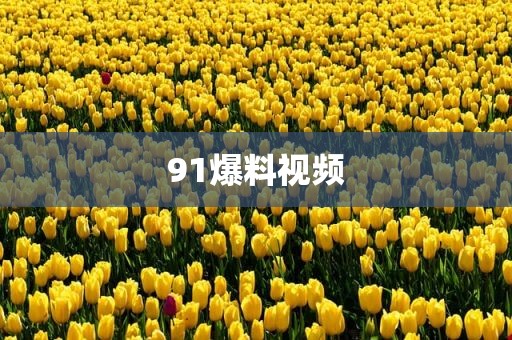 91爆料视频
