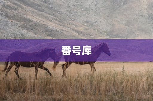 番号库