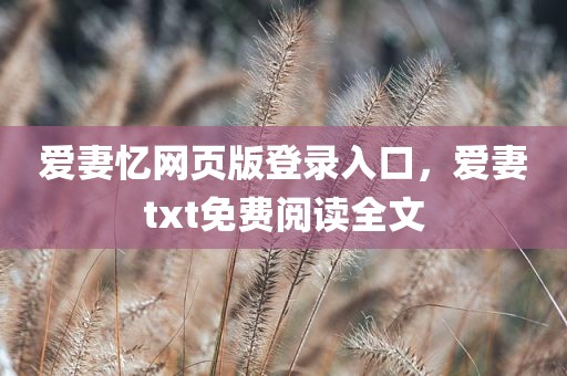 爱妻忆网页版登录入口，爱妻txt免费阅读全文
