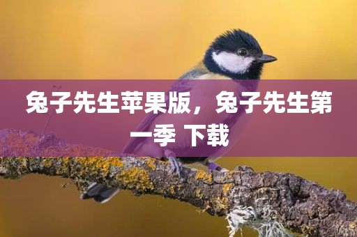 兔子先生苹果版，兔子先生第一季 下载