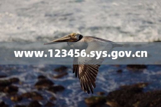 www.123456.sys.gov.cn