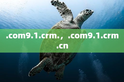 .com9.1.crm.，.com9.1.crm.cn