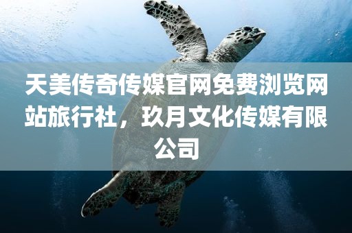 天美传奇传媒官网免费浏览网站旅行社，玖月文化传媒有限公司