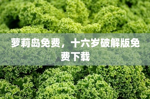 萝莉岛免费，十六岁破解版免费下载