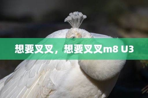 想要叉叉，想要叉叉m8 U3