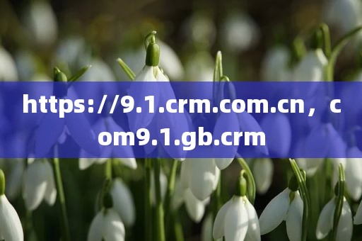 https://9.1.crm.com.cn，com9.1.gb.crm