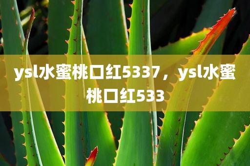 ysl水蜜桃口红5337，ysl水蜜桃口红533
