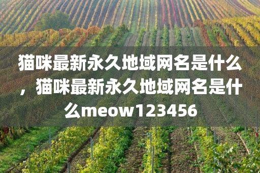 猫咪最新永久地域网名是什么，猫咪最新永久地域网名是什么meow123456