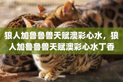 狼人加鲁鲁兽天赋澳彩心水，狼人加鲁鲁兽天赋澳彩心水丁香
